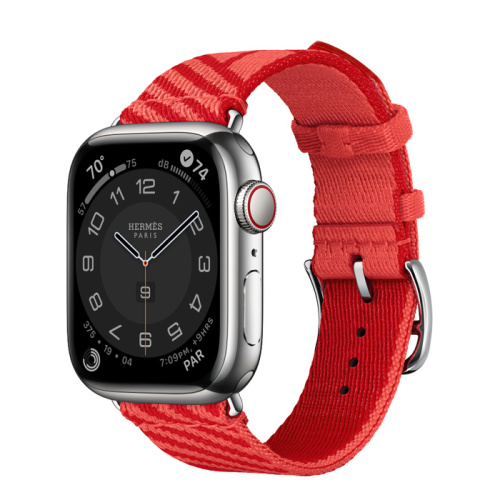 Смарт-часы Apple Watch Hermes Series 8 41mm Silver Stainless Steel Case with Jumping Rose Texas/Rouge Piment (Розовый/Румяный)