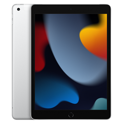 Планшет Apple iPad 10,2 (2021) 256Gb Wi-Fi + Cellular Silver (Серебристый)