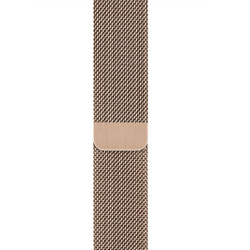 Миланский сетчатый браслет для Apple Watch 40/41 мм Gold (Золотой)