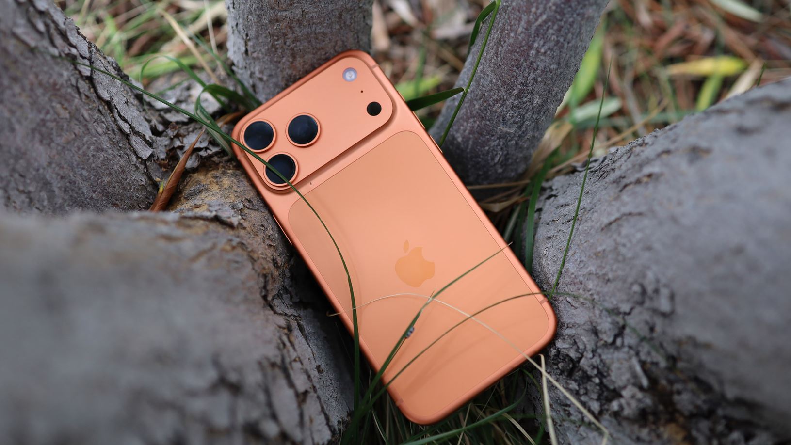 Оранжевый iPhone 17 Pro Max лежит среди ветвей дерева