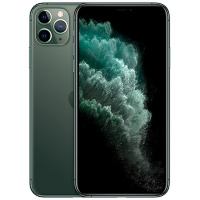 Apple iPhone 11 Pro Max 256GB Midnight Green (Темно-зеленый) (MWHM2RU/A)