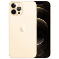 Apple iPhone 12 Pro Max 256GB Gold (Золотой) (MGDE3RU/A)