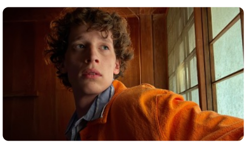 Камера iPhone 17e