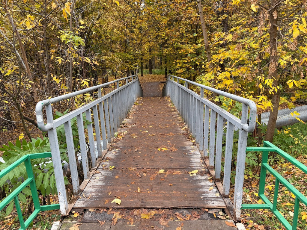 Фото на iPhone Air